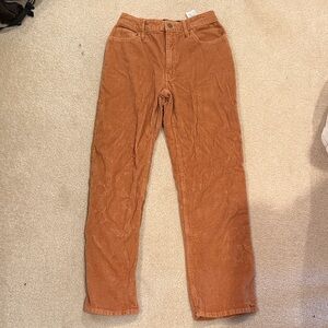 Hollister Men's Corduroy Pants - Brown